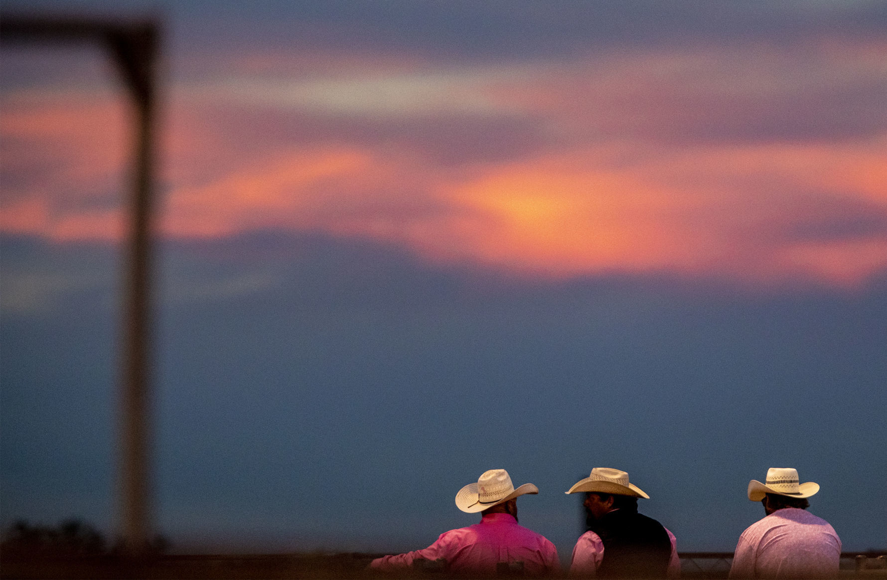 Rodeo gallery